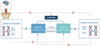 Ankylosing spondylitis and psychiatric disorders in European population: a Mendelian randomization study